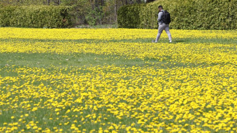 campus en fleurs